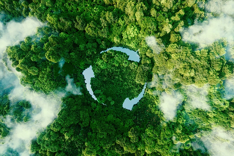 Conceito de imagem com florista vista de cima com simbolo de reciclável no centro